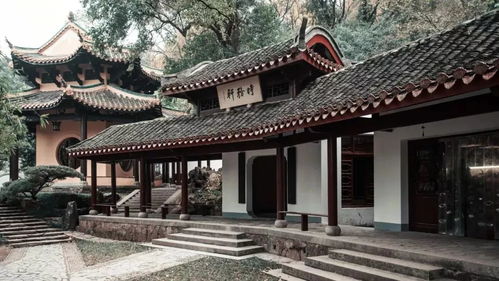 体验古代书院模拟器免广告版：沉浸式学术之旅，无干扰畅玩历史文化。