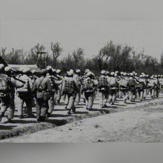 口袋奇兵官方网站- 发现无限可能的奇幻冒险世界，立即加入游戏探索精彩内容!