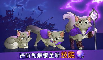 (抓猫咪游戏)让猫咪疯狂欢乐的专属游戏盘点：挠痒痒、追光点、藏猫猫等