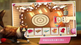 (抓猫咪游戏)让猫咪疯狂欢乐的专属游戏盘点：挠痒痒、追光点、藏猫猫等