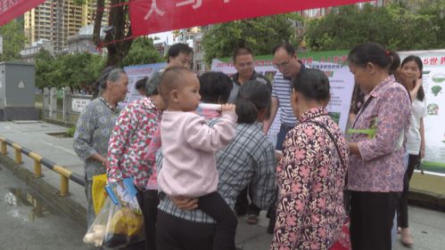 (弥留之都)探讨弥留之岛消失背后的历史原因及其对生态环境的影响