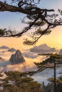 (《一统江山》)一统疆山在线观看：沉浸式体验，尽情畅享无限风光