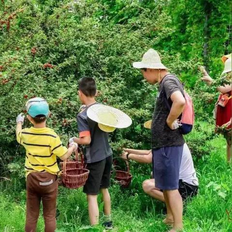 (梦幻花园探索地图)梦幻花园多少关卡？游戏探索者必知的挑战级别及通关攻略
