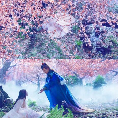 (十里桃花有什么含义)探索十里桃花背后的故事与隐喻，揭示其后的深意与情感共鸣