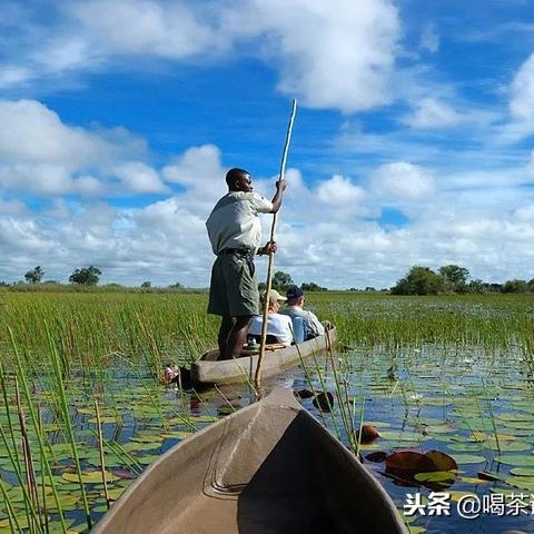 (恐龙战争4只恐龙)恐龙战争4：时空交错的史诗对决，新种群的崛起引发全球混乱