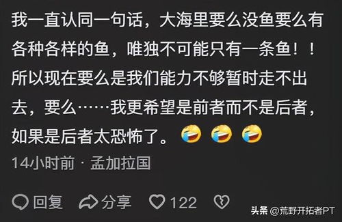 (在探索我的现在)在探索中发现了另一个自己：我与我共存的旅程
