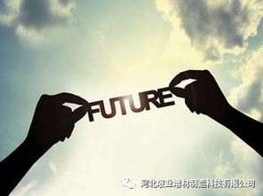 (在探索我的现在)在探索中发现了另一个自己：我与我共存的旅程