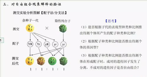 探讨《动物森林法则》角色互动与人际关系建立的巧妙策略：以村民Tom美业的人格魅力为例