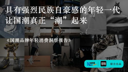 (国货潮玩)探秘潮玩国度数码：探索未来科技创新与数字生活的奇妙世界