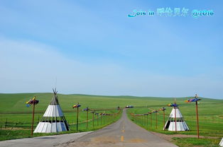 (草原相思曲歌谱)草原相思曲：追寻心中最深的思念，在广袤大草原上回荡
