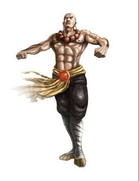 (功夫之王争霸赛)功夫王者决战大名，勇夺武林至尊宝座，谁能称霸江湖独步天下