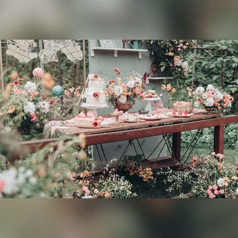 游戏深度解析：梦幻花园共有多少关卡，每个关卡的难度和挑战性如何?