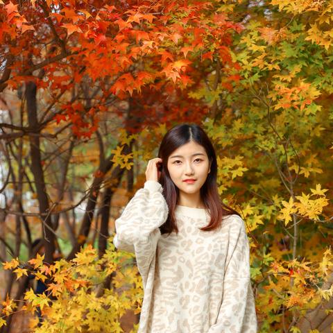 (热血燃舞蹈视频教学)燃情热血，律动歌舞——热血燃烧的动感歌曲推荐