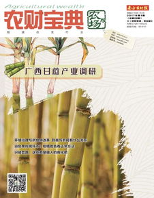 (小小农场主)小小大农场金条银条在哪里？探寻小农场内隐藏的财宝藏匿之处