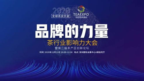 (世界未来发展的主攻方向)探索未来之路：世界计划如何引领全球可持续发展路径？