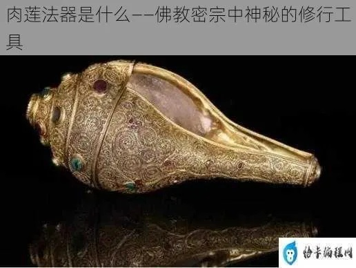 (活取肉莲的过程)神秘法器活体肉莲之画，令人惊叹神奇力量