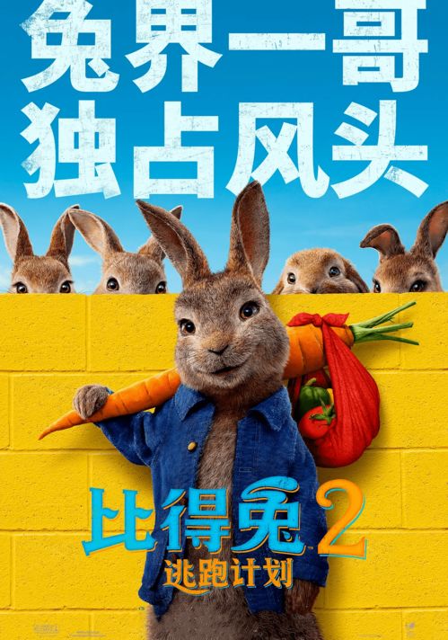 探索萌宠猎宝的乐趣，你准备好与可爱的小伙伴一起开启充满惊喜的冒险之旅吗？