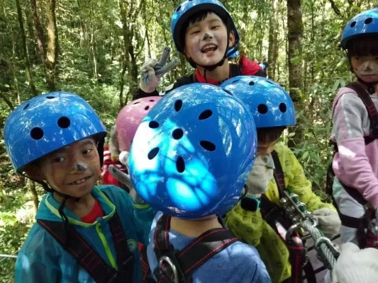 探索生活之旅：以'小小冒险家'歌词为线索揭秘青少年求知探索的心路历程