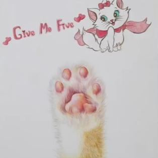 猫版超级玛丽手机版：可爱猫咪冒险之旅，绝对不能错过的经典游戏