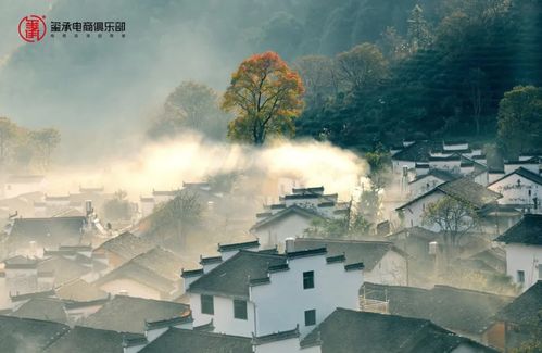 探索古代书院模拟器中的折相思，领略诗词之美与人文情怀的交融
