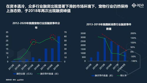 宠物星球融资计划：打造全新宠物生态系统，引领行业未来发展方向