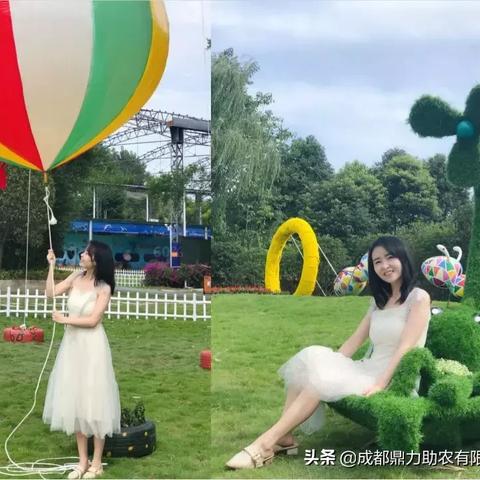 (温江七彩海巢乐园在哪个位置)温江七彩海巢欢乐世界门票，畅游彩虹世界，尽享欢乐时光
