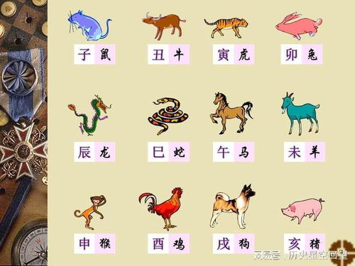 十二生肖一统天下指什么生肖？每个生肖的特征及代表含义都是什么？