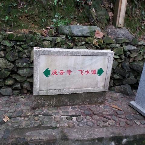 全面解析十虎手游攻略：从新手到高手的成长指南与实用技巧分享