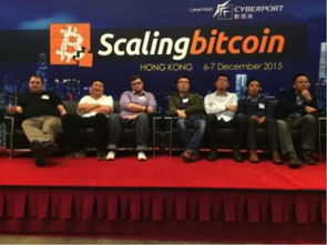 (黄书上的黑道是什么意思)深度揭秘：黑黄书的真实含义及其在社会文化中的影响和解读