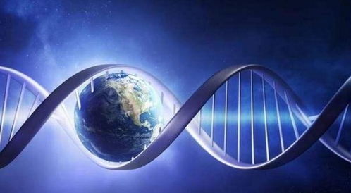 探索虚数空间与量子之海交汇处的奥秘：揭示科学与哲学的深层联系