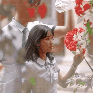 (石器时代所有宠物介绍)石器时代觉醒：追逐稀有宠物的无果之路