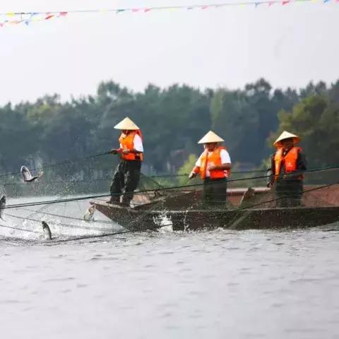 (阳光下跳舞的女孩图片)阳光下蹦跳的女孩，追逐梦想与快乐的成长旅程