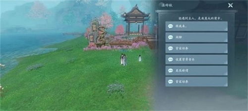 (剑网三无界)深度分析：剑网3无界配置优化指南，揭秘游戏性能飙升秘诀