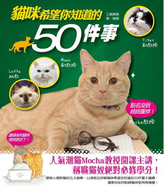 深度揭秘：猫咪公寓2为什么已经停更？相关原因及粉丝期待的新内容有何更新可能性？
