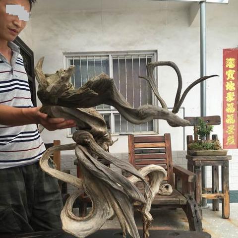 (开局一根烧火棍)开局一根棍游戏：探寻生存与挑战的极限，打破常规的冒险之旅