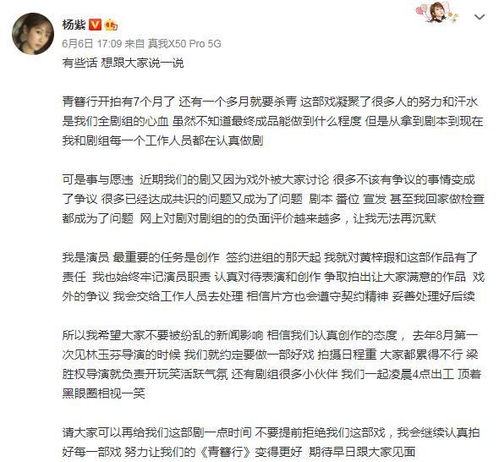 (青璃还有后续吗)青璃怎么停运了？导致什么后果？如何解决这一情况？