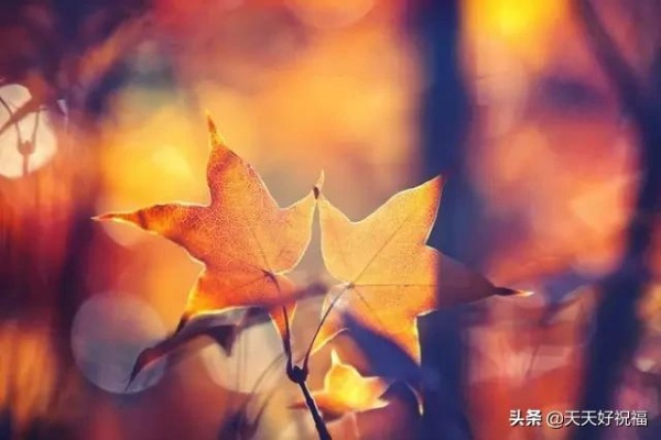 (浮生如梦的说说)浮生如梦，唯有珍惜此刻，方能抓住真实的幸福和快乐