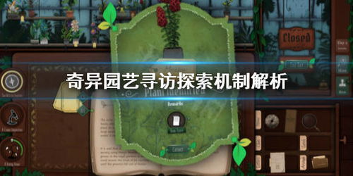 享受奇幻旅程：探索'萝娜的奇妙时光单机'中隐藏的多元化剧情及角色成长