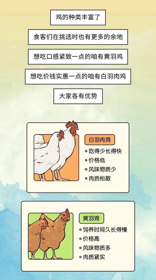 (小浣熊百将传凉了)小浣熊百将传停服原因揭秘：是市场萎缩还是内容质量问题？