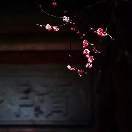 探索神秘修仙世界！在这款引领开宗立派的修仙单机游戏中寻找真相！