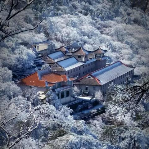 (黎明重现)黎明重生折扣：焕发新生活，折扣满足生活所需，开启全新时代