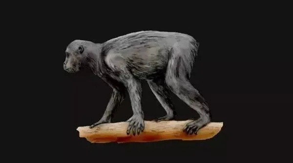 (最后的熊软件下载)探索最后纪元熊人形态的奇幻世界：神秘生物与文明的交汇
