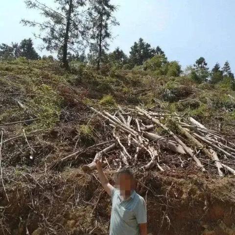 (微信捕鱼赚钱小游戏红包)精彩刺激的可提微信红包的捕鱼游戏体验
