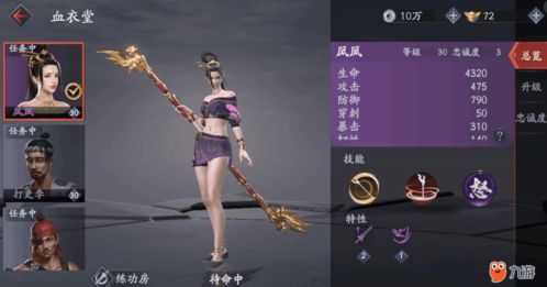 探索流星群侠传：专家指导下不同角色随从培养策略与效益比较，精细分析哪个最值得投入