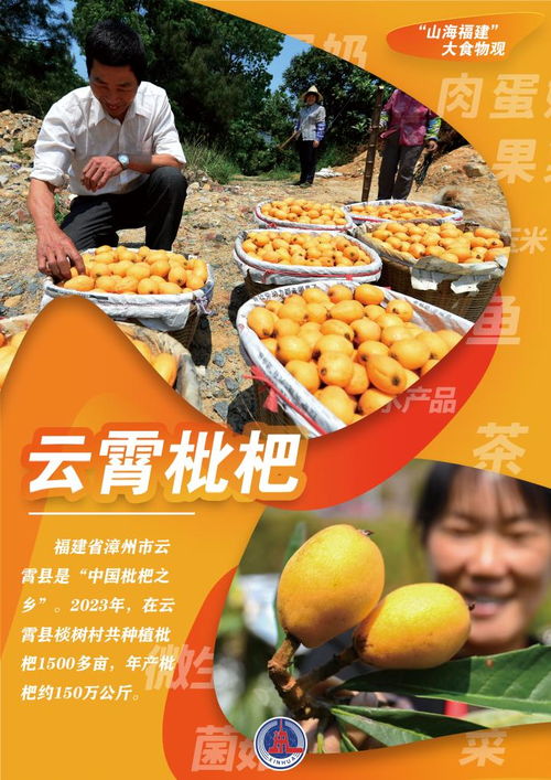 (山海食舍)探寻山海食肆的魅力：美食之旅，发现不一样的味蕾体验