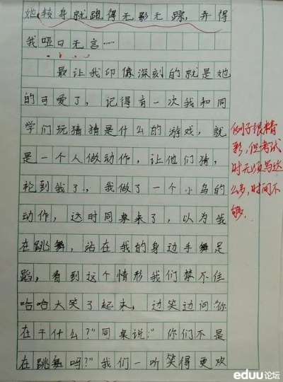 最好的时光有你，最真的情感因你：以'同桌200字作文'为主题的深情回忆录