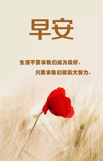(早安我的少年日服官方下载)早安我的少年日服：在虚拟世界中追寻青春与梦想的冒险旅程