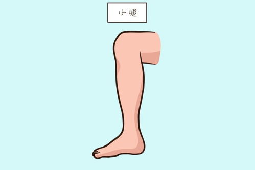 (何处指的是什么)何处指的是何种位置或地点？