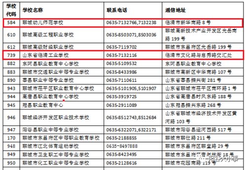 (森之国43)探寻森之国度：最佳职业选择推荐与发展策略全面解析