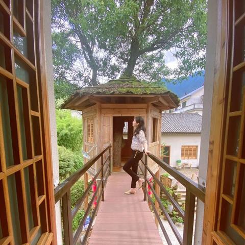 (松泰大院)探秘松泰书院小说网站：品味经典阅读乐趣